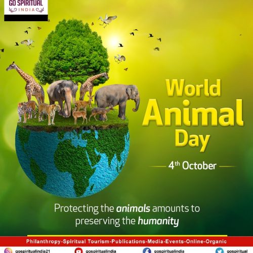 World Animal Day 2022 Let’s pledge to make this a better world for